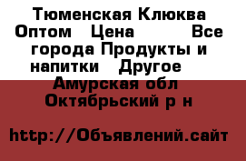 Тюменская Клюква Оптом › Цена ­ 200 - Все города Продукты и напитки » Другое   . Амурская обл.,Октябрьский р-н